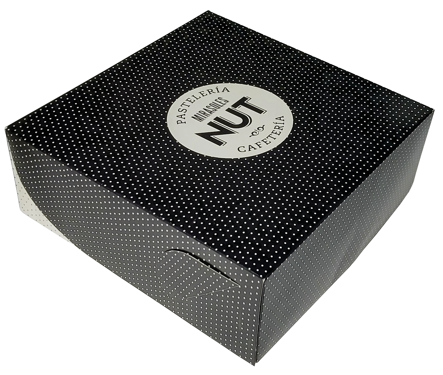 Caja de torta grande